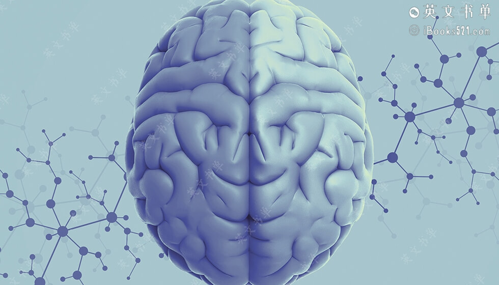 新书推荐 | The Brain Code by Yossi Chalamish