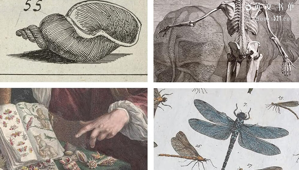 高分推荐 | Commercial Visions(金钱、奇珍异品与造物术) by Dániel Margócsy