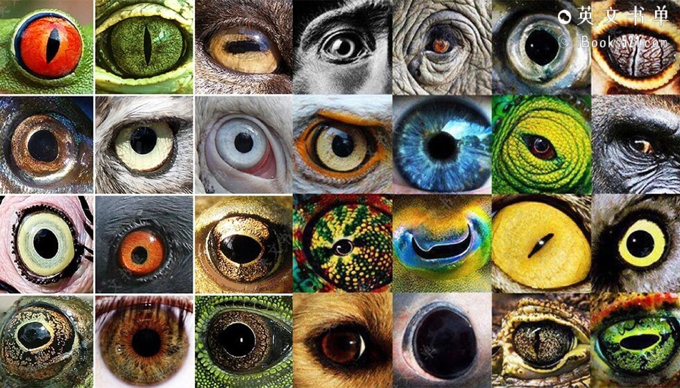 高分推荐 | Evolution(演化的故事) by Carl Zimmer