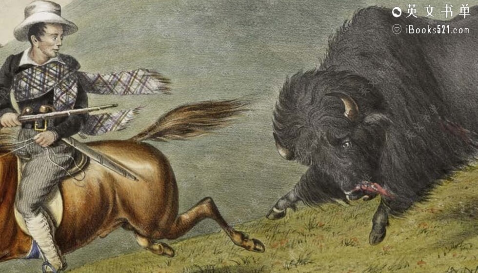 高分推荐 | Wild by Nature(天生狂野) by Andrea L Smalley